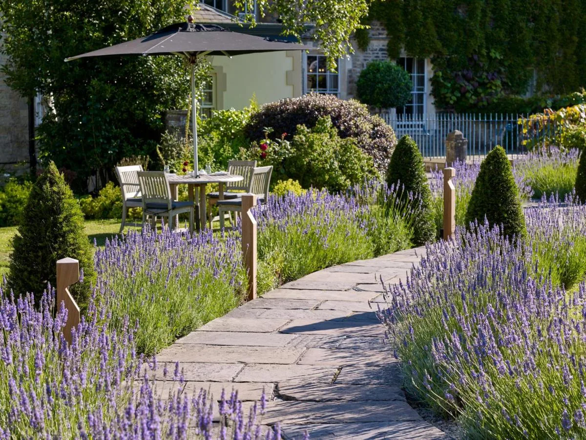 A stone walkway through the garden with purple flowers